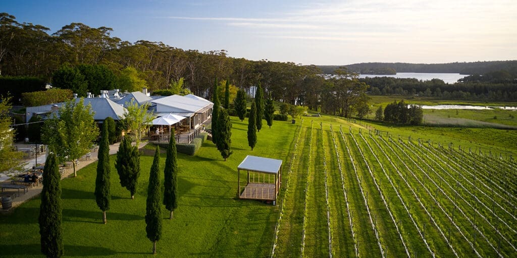 Cupitt’s Estate — A Dreamy Escape for Destination‑Style Weddings